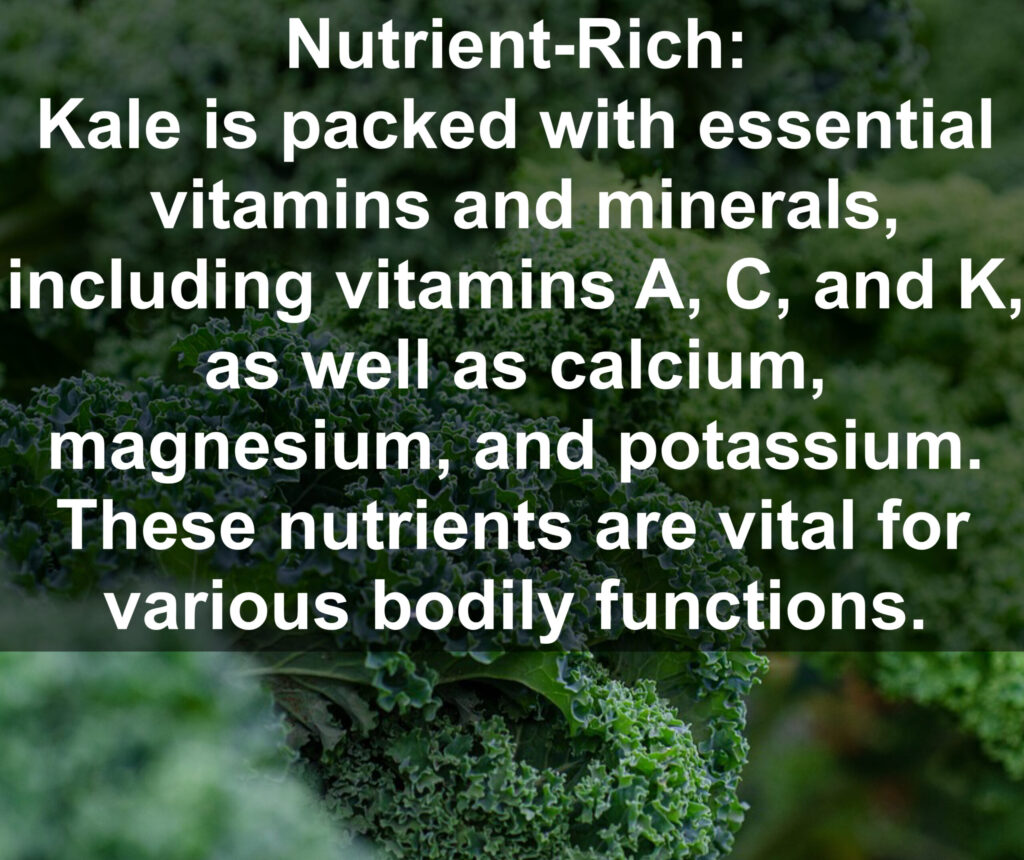 1. Nutrient Rich: Kale is packed with essential vitamins and minerals, including vitamins A, C, and K, as well as calcium, magnesium, and potassium. These nutrients are vital for various bodily functions.