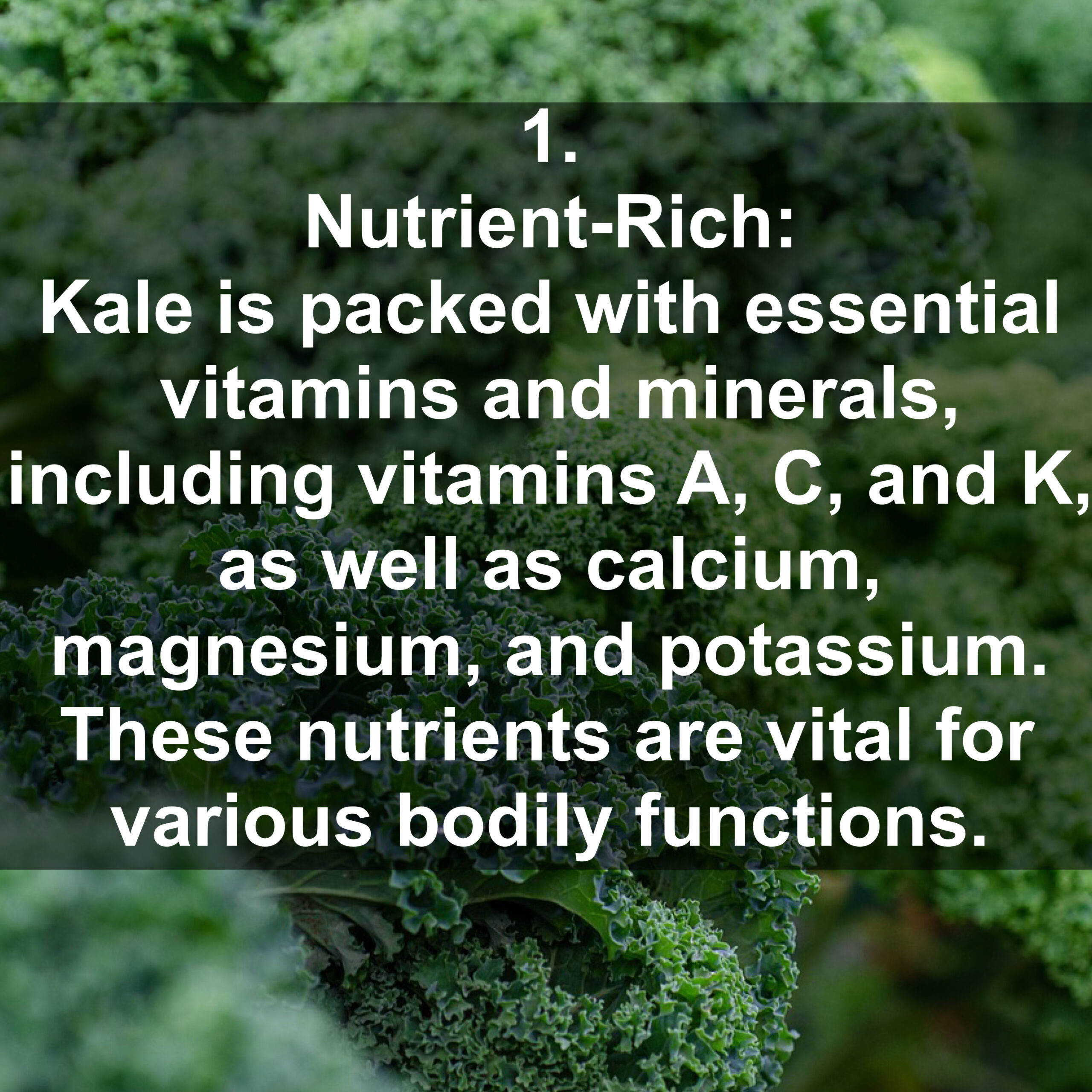 1. Nutrient Rich: Kale is packed with essential vitamins and minerals, including vitamins A, C, and K, as well as calcium, magnesium, and potassium. These nutrients are vital for various bodily functions.