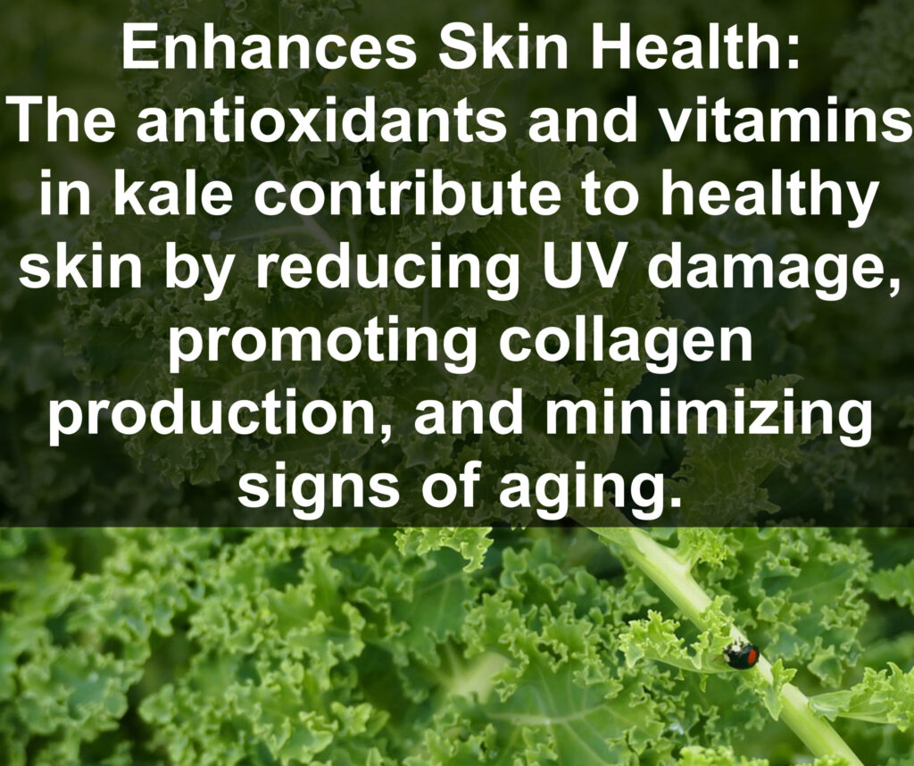 10. Enhances Skin Health: The antioxidants and vitamins in kale contribute to healthy skin by reducing UV damage, promoting collagen production, and minimizing signs of aging.