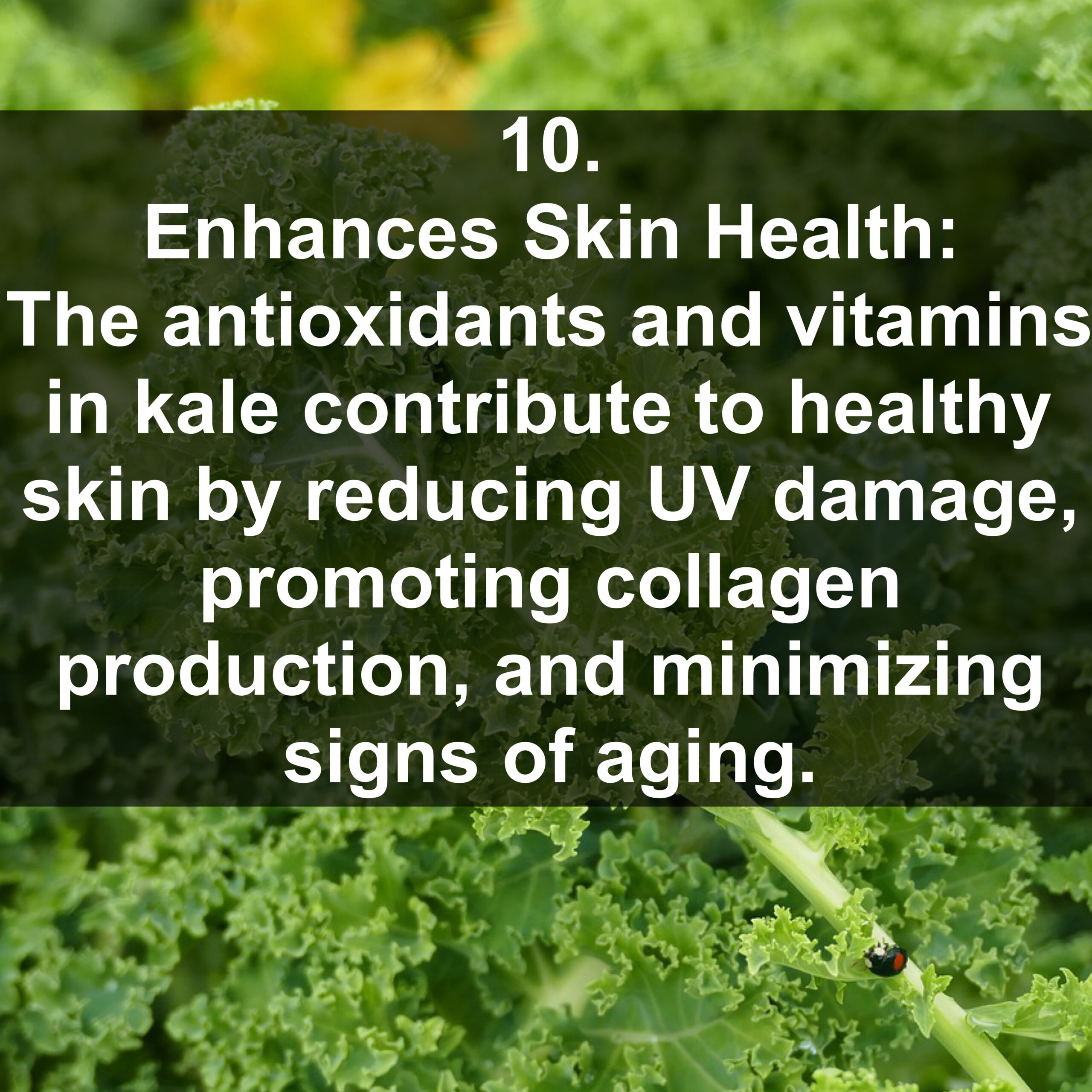 10. Enhances Skin Health: The antioxidants and vitamins in kale contribute to healthy skin by reducing UV damage, promoting collagen production, and minimizing signs of aging.