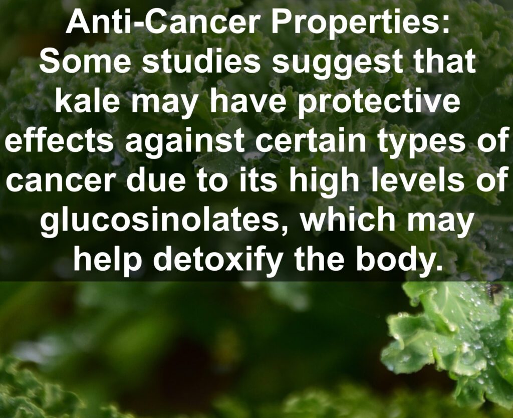 7. Anti-Cancer Properties: Some studies suggest that kale may have protective effects against certain types of cancer due to its high levels of glucosinolates, which may help detoxify the body.