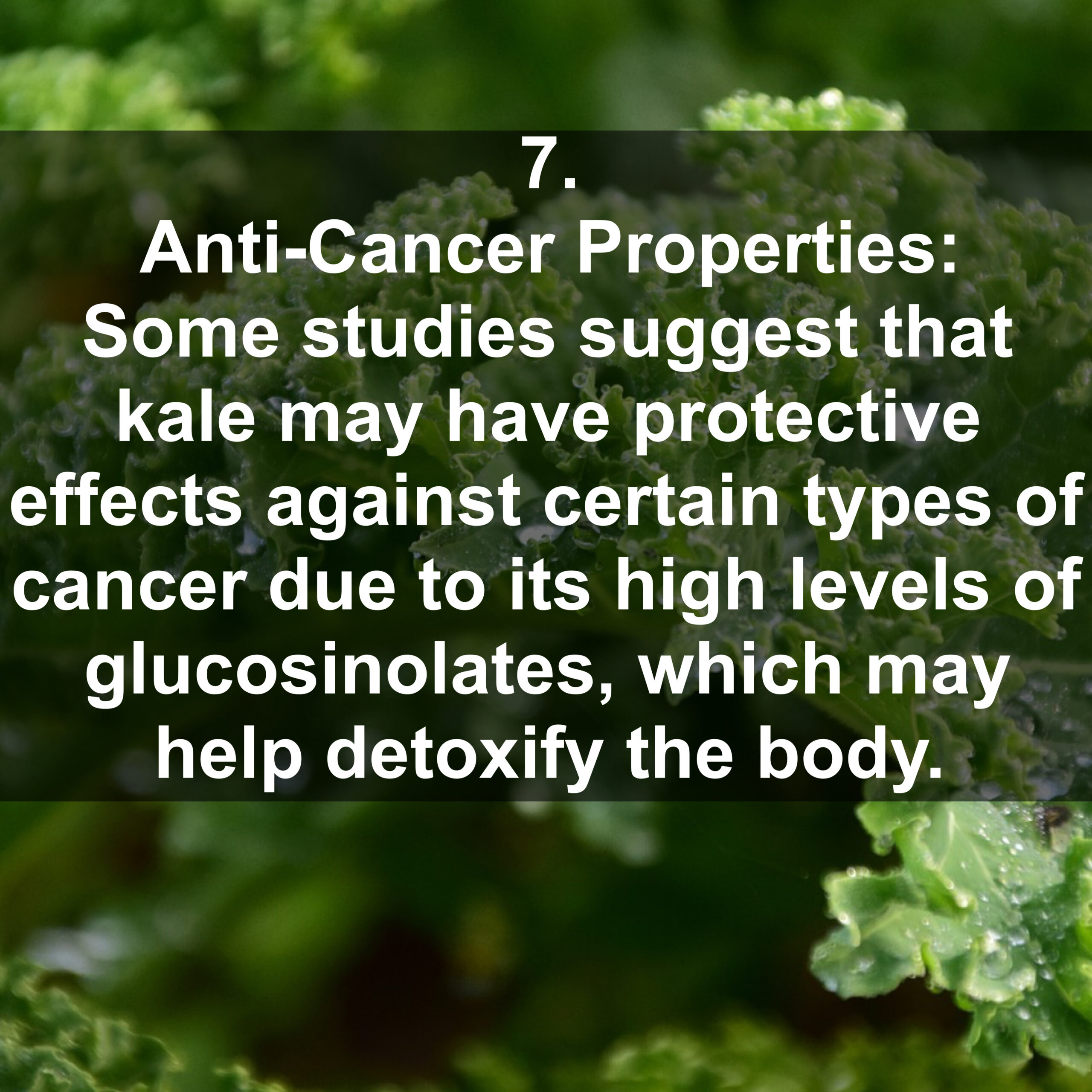 7. Anti-Cancer Properties: Some studies suggest that kale may have protective effects against certain types of cancer due to its high levels of glucosinolates, which may help detoxify the body.