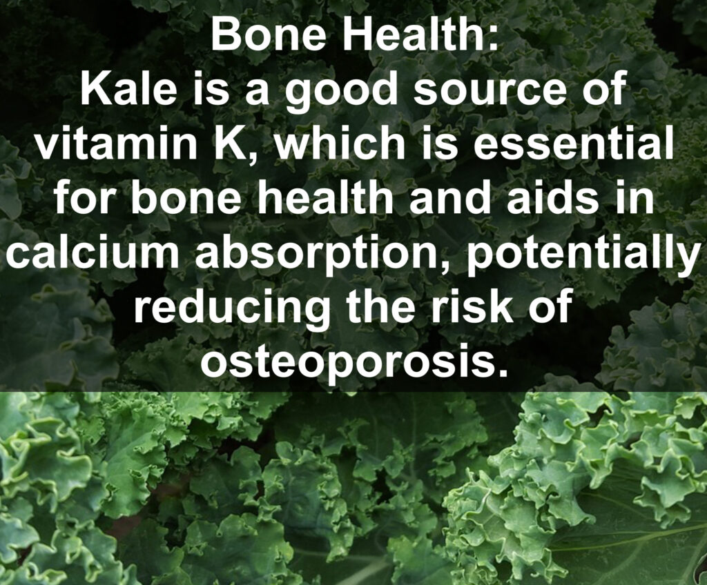 6. Bone Health: Kale is a good source of vitamin K, which is essential for bone health and aids in calcium absorption, potentially reducing the risk of osteoporosis.