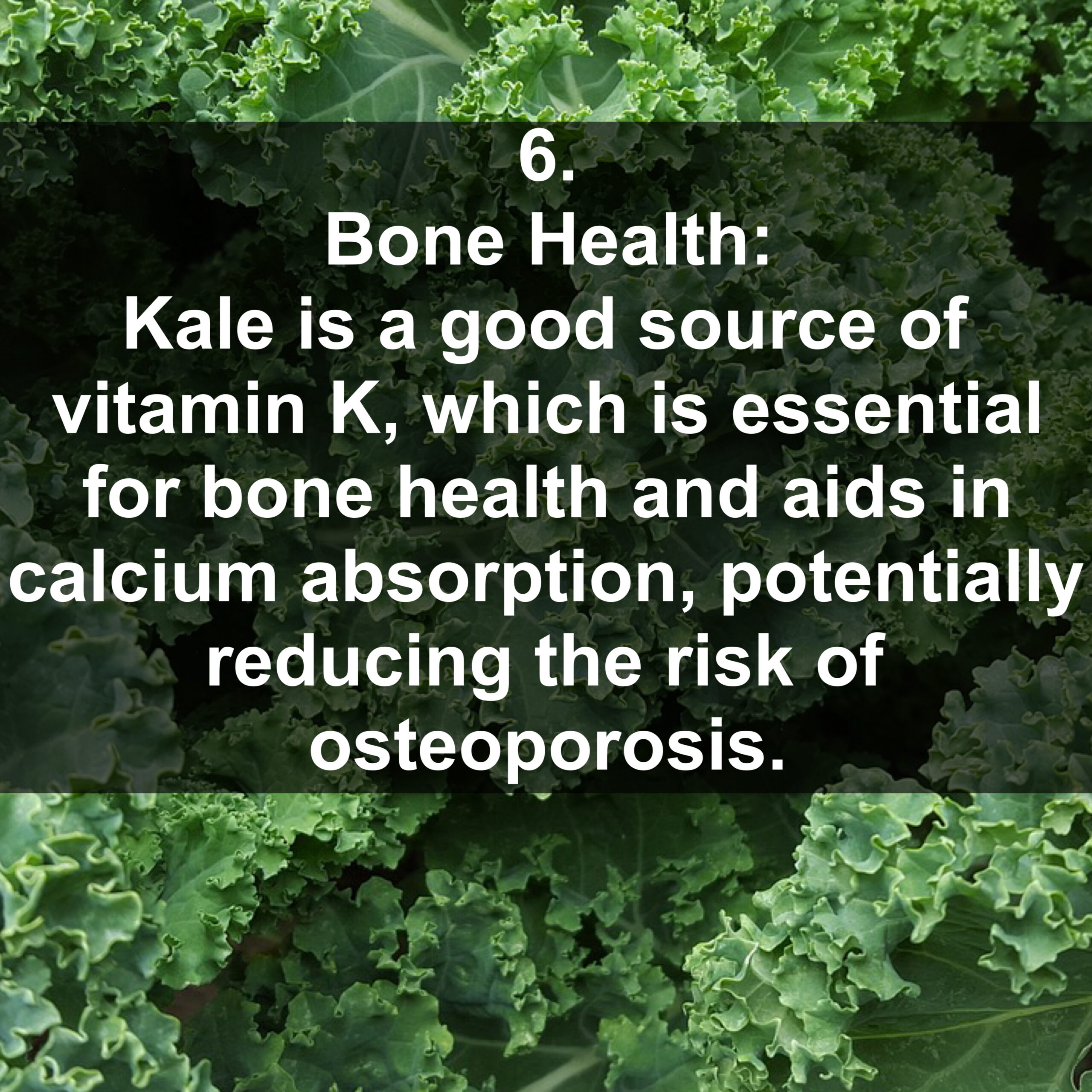 6. Bone Health: Kale is a good source of vitamin K, which is essential for bone health and aids in calcium absorption, potentially reducing the risk of osteoporosis.