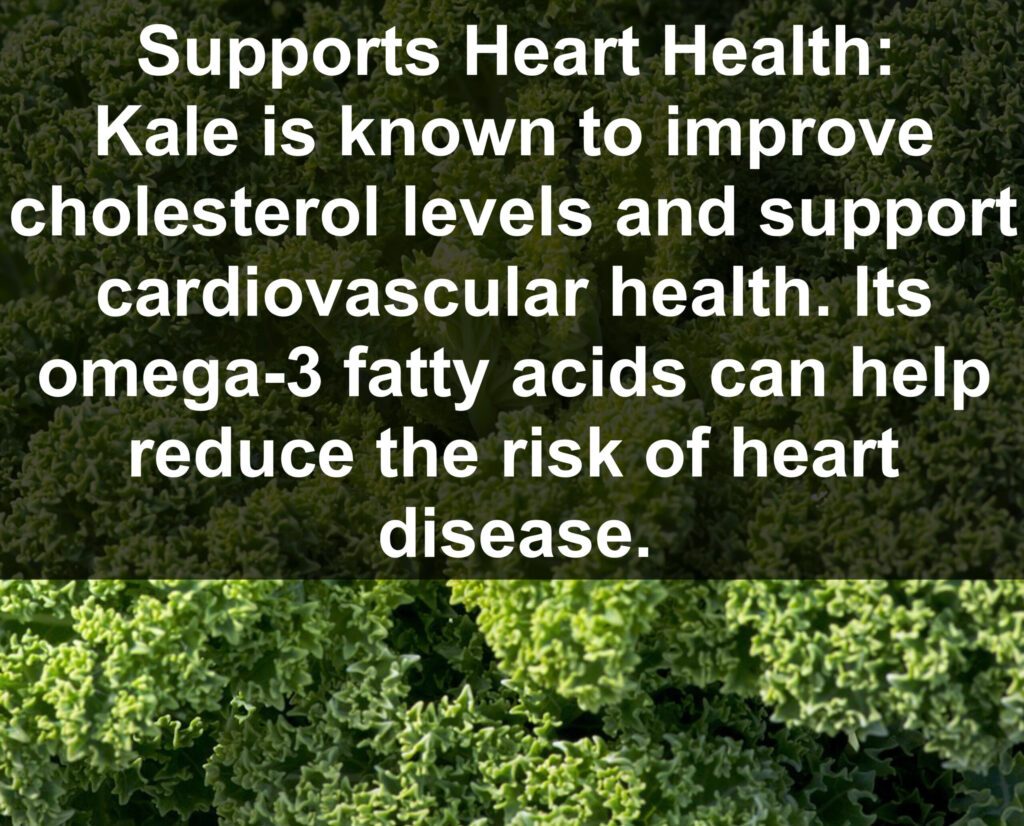 3. Supports Heart Health: Kale is known to improve cholesterol levels and support cardiovascular health. Its omega-3 fatty acids can help reduce the risk of heart disease.