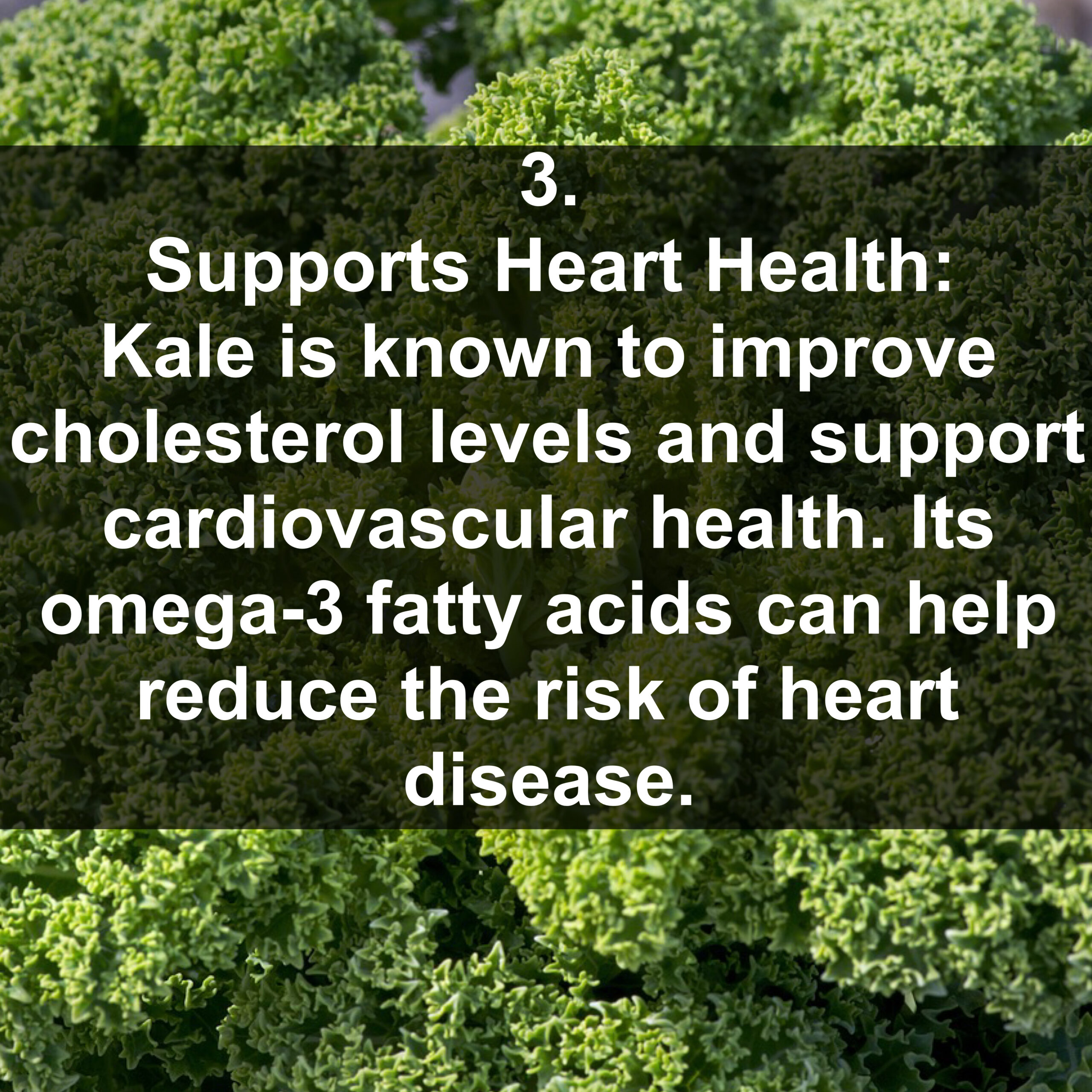 3. Supports Heart Health: Kale is known to improve cholesterol levels and support cardiovascular health. Its omega-3 fatty acids can help reduce the risk of heart disease.