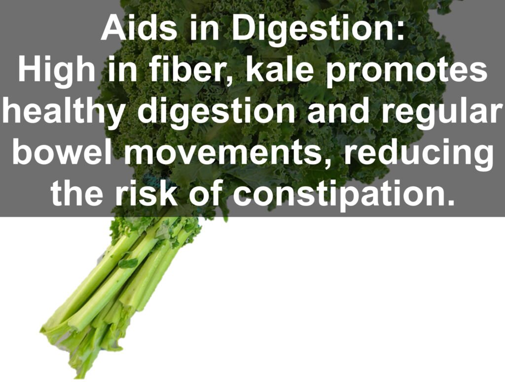 4. Aids in Digestion: High in fiber, kale promotes healthy digestion and regular bowel movements, reducing the risk of constipation.