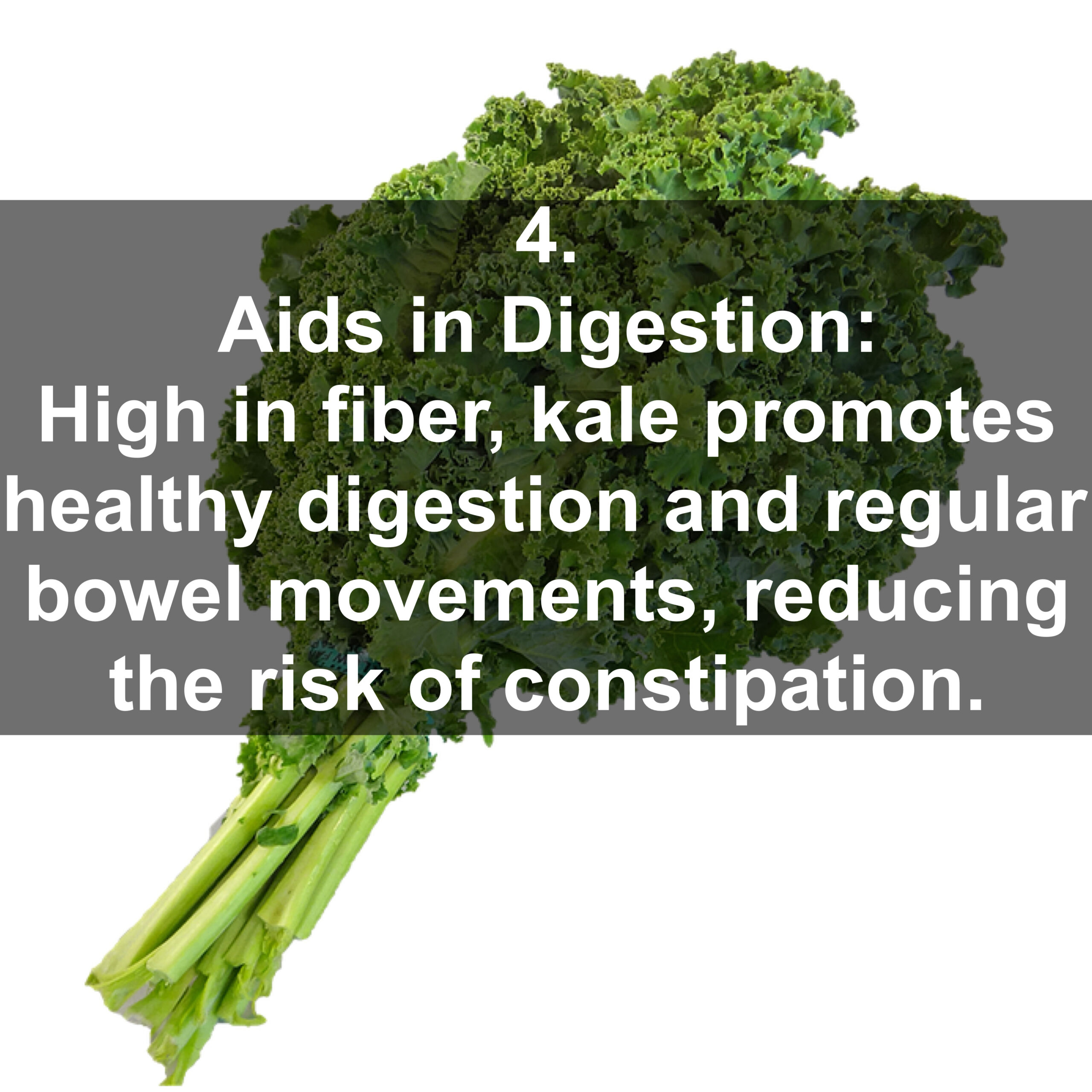 4. Aids in Digestion: High in fiber, kale promotes healthy digestion and regular bowel movements, reducing the risk of constipation.