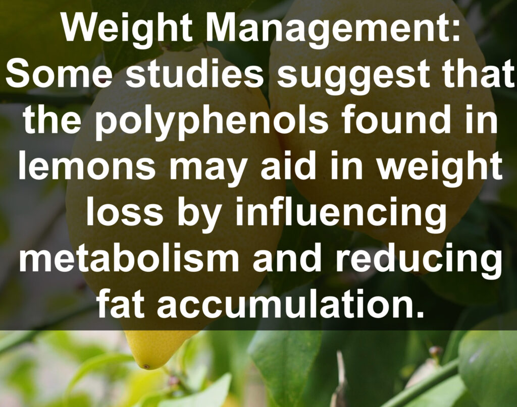 5. Weight Management: Some studies suggest that the polyphenols found in lemons may aid in weight loss by influencing metabolism and reducing fat accumulation.