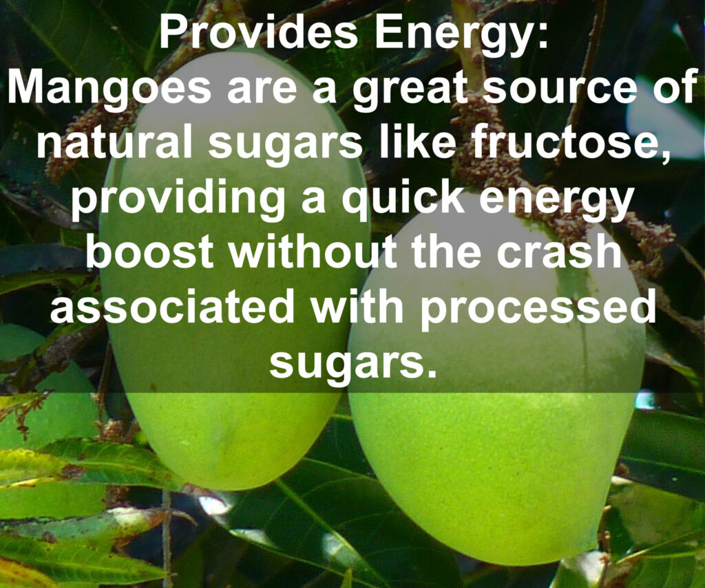 9. Provides Energy: Mangoes are a great source of natural sugars like fructose, providing a quick energy boost without the crash associated with processed sugars.