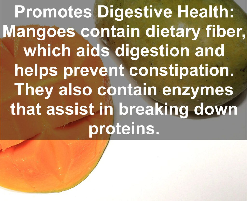 3. Promotes Digestive Health: Mangoes contain dietary fiber, which aids digestion and helps prevent constipation. They also contain enzymes that assist in breaking down proteins.