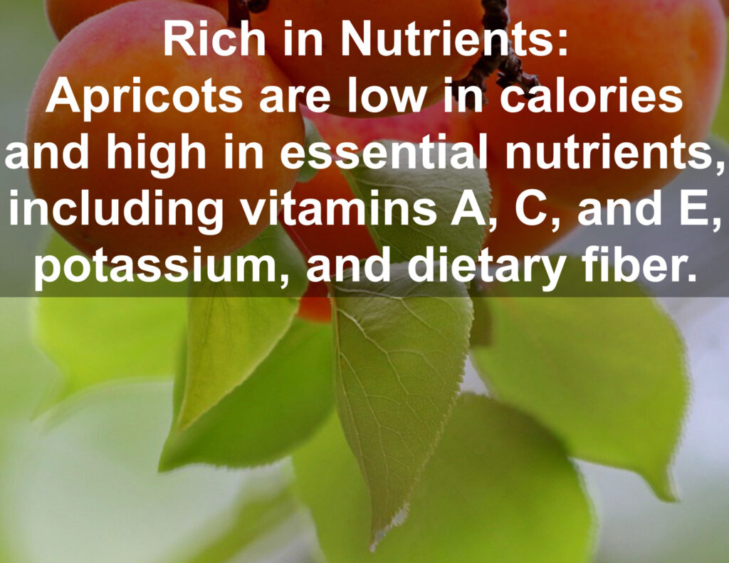 1. Rich in Nutrients: Apricots are low in calories and high in essential nutrients, including vitamins A, C, and E, potassium, and dietary fiber.