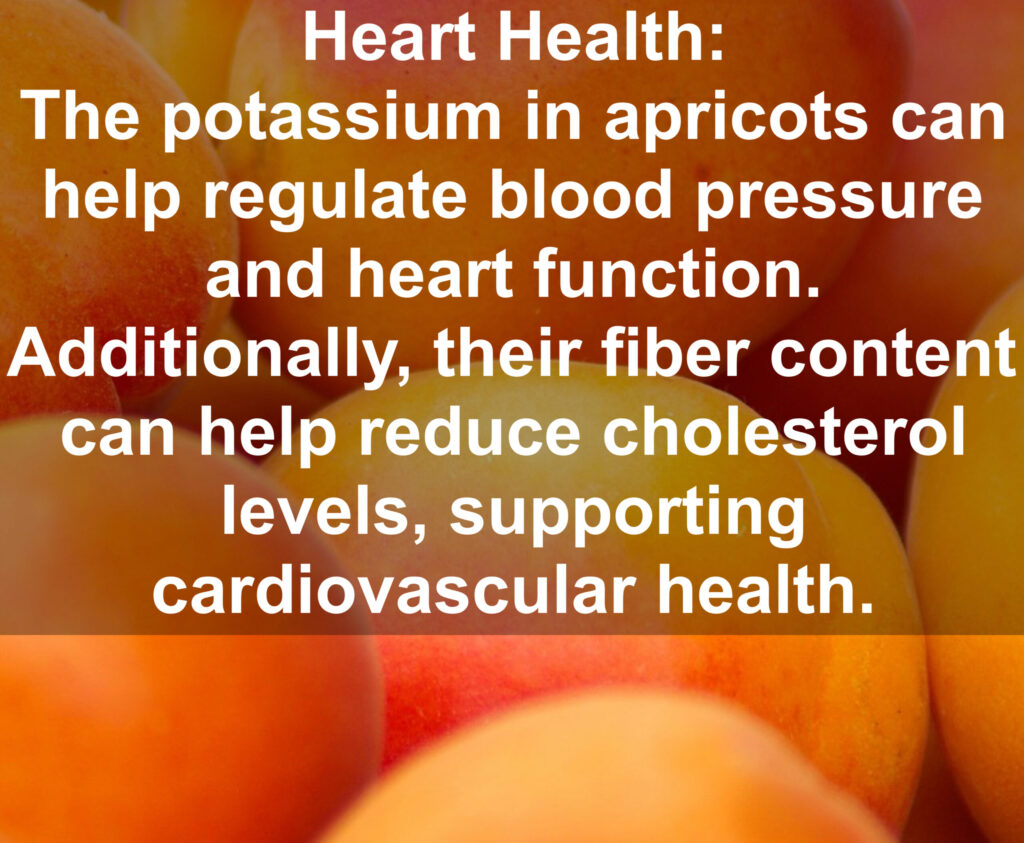 5. Heart Health: The potassium in apricots can help regulate blood pressure and heart function. Additionally, their fiber content can help reduce cholesterol levels, supporting cardiovascular health.