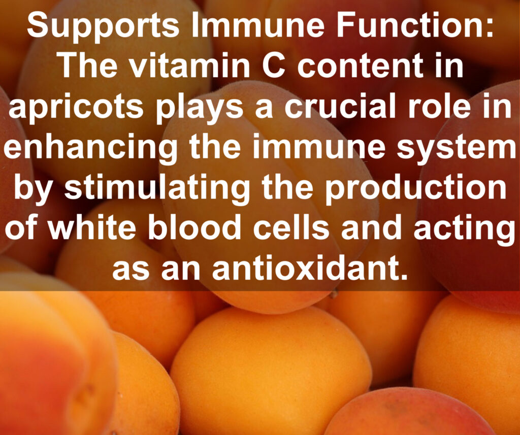 3. Supports Immune Function: The vitamin C content in apricots plays a crucial role in enhancing the immune system by stimulating the production of white blood cells and acting as an antioxidant.