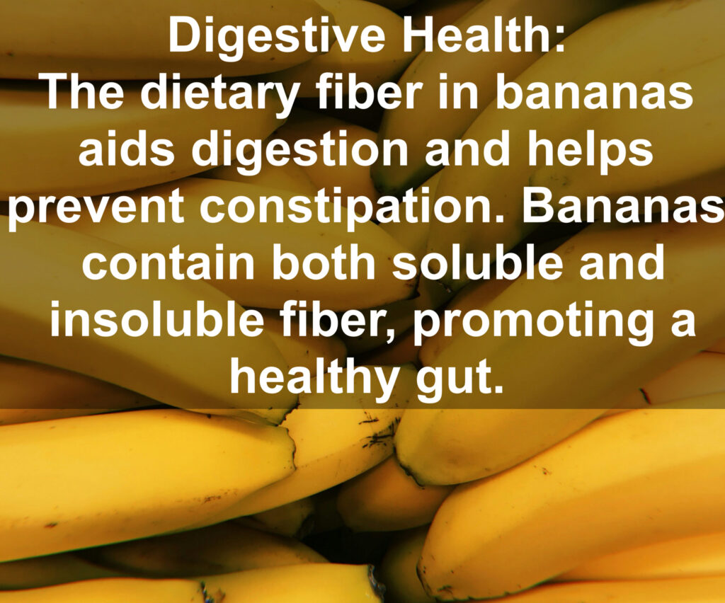 3. Digestive Health: The dietary fiber in bananas aids digestion and helps prevent constipation. Bananas contain both soluble and insoluble fiber, promoting a healthy gut.