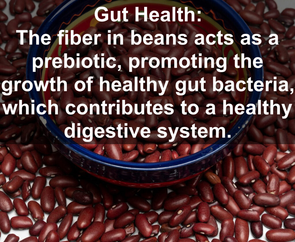 9. Gut Health: The fiber in beans acts as a prebiotic, promoting the growth of healthy gut bacteria, which contributes to a healthy digestive system.