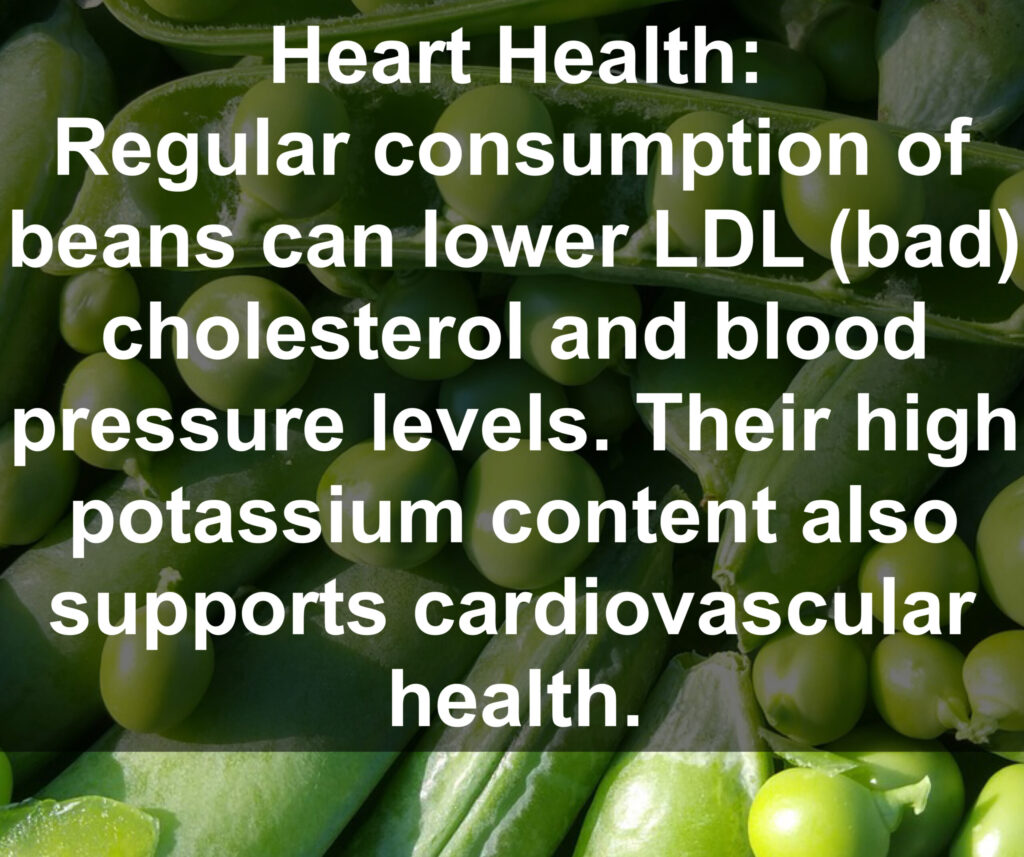 4. Heart Health: Regular consumption of beans can lower LDL (bad) cholesterol and blood pressure levels. Their high potassium content also supports cardiovascular health.