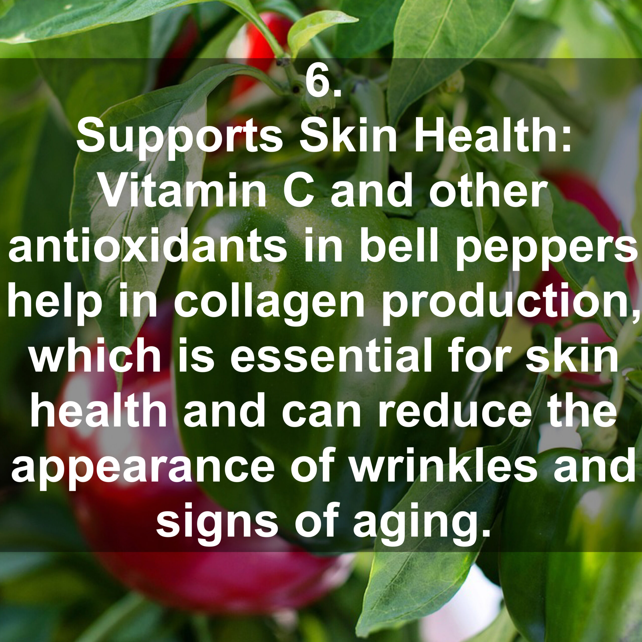 6. Supports Skin Health: Vitamin C and other antioxidants in bell peppers help in collagen production, which is essential for skin health and can reduce the appearance of wrinkles and signs of aging.
