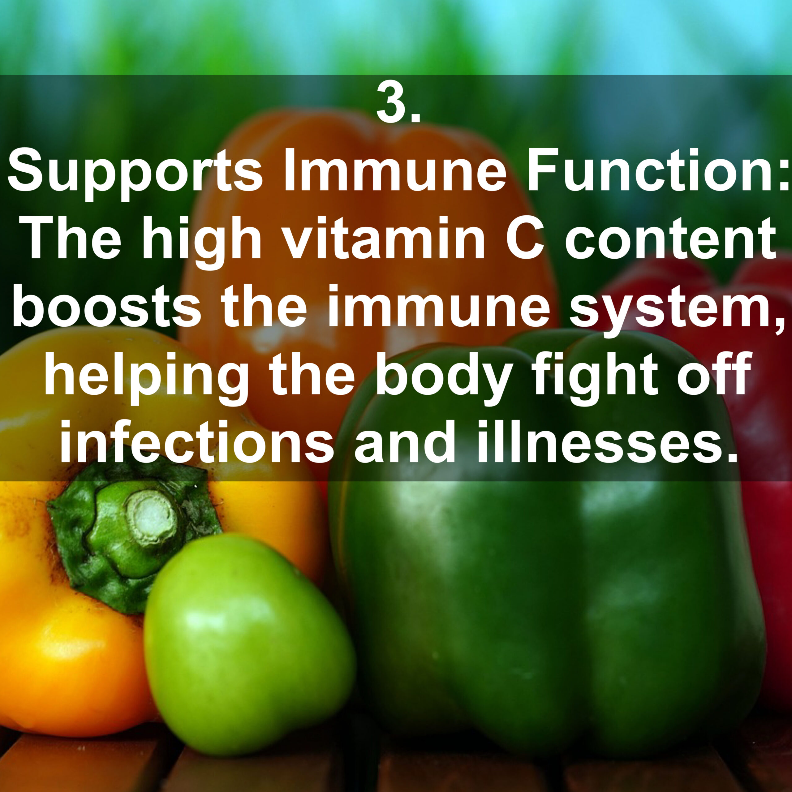 3. Supports Immune Function: The high vitamin C content boosts the immune system, helping the body fight off infections and illnesses.
