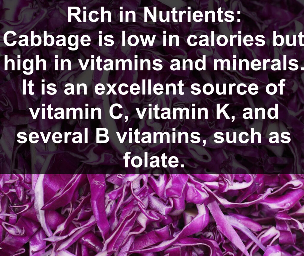 1. Rich in Nutrients: Cabbage is low in calories but high in vitamins and minerals. It is an excellent source of vitamin C, vitamin K, and several B vitamins, such as folate.