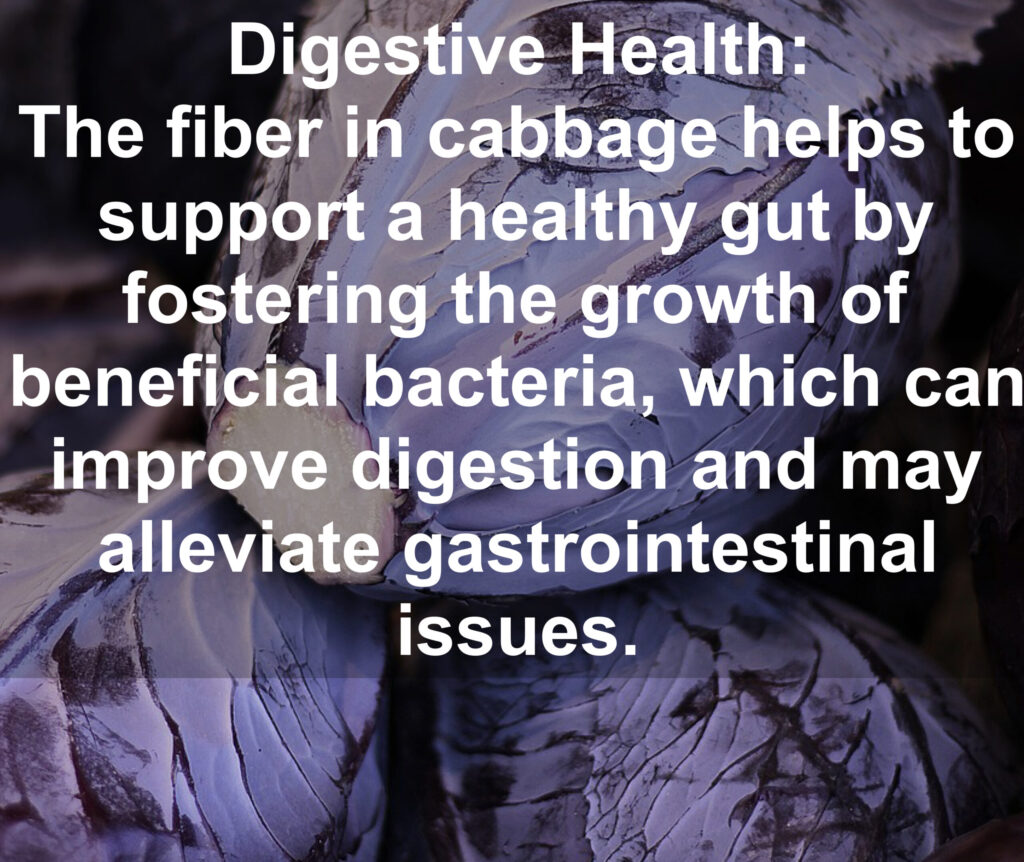 9. Digestive Health: The fiber in cabbage helps to support a healthy gut by fostering the growth of beneficial bacteria, which can improve digestion and may alleviate gastrointestinal Issues.