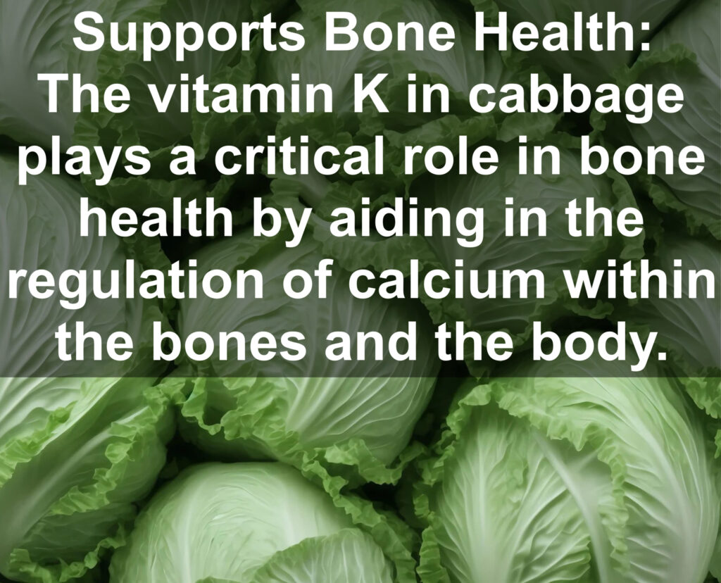 8. Supports Bone Health: The vitamin K in cabbage plays a critical role in bone health by aiding in the regulation of calcium within the bones and the body.