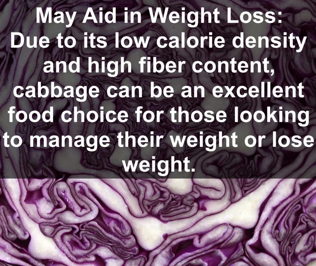 7. May Aid in Weight Loss: Due to its low calorie density and high fiber content, cabbage can be an excellent food choice for those looking to manage their weight or lose weight.