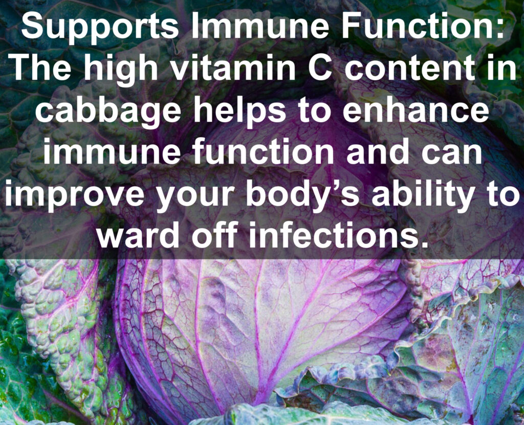 5. Supports Immune Function: The high vitamin C content in cabbage helps to enhance immune function and can improve your body's ability to ward off infections.