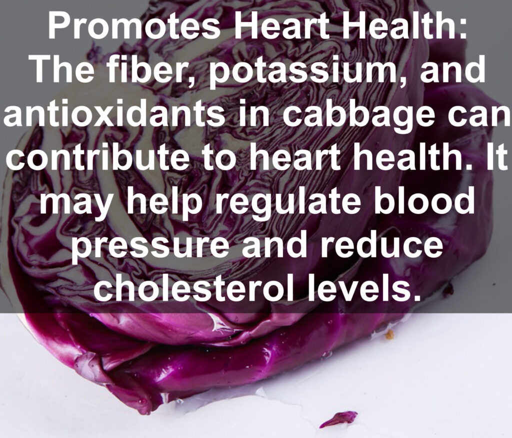 4. Promotes Heart Health: The fiber, potassium, and antioxidants in cabbage can contribute to heart health. It may help regulate blood pressure and reduce cholesterol levels.