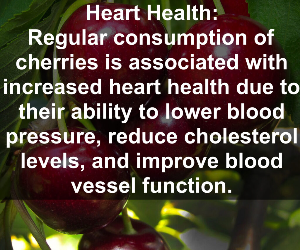 5. Heart Health: Regular consumption of cherries is associated with increased heart health due to their ability to lower blood pressure, reduce cholesterol levels, and improve blood vessel function.