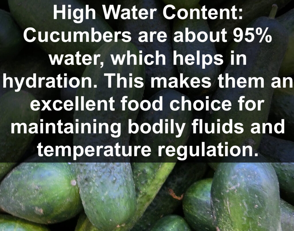 1. High Water Content: Cucumbers are about 95% water, which helps in hydration. This makes them an excellent food choice for maintaining bodily fluids and temperature regulation.