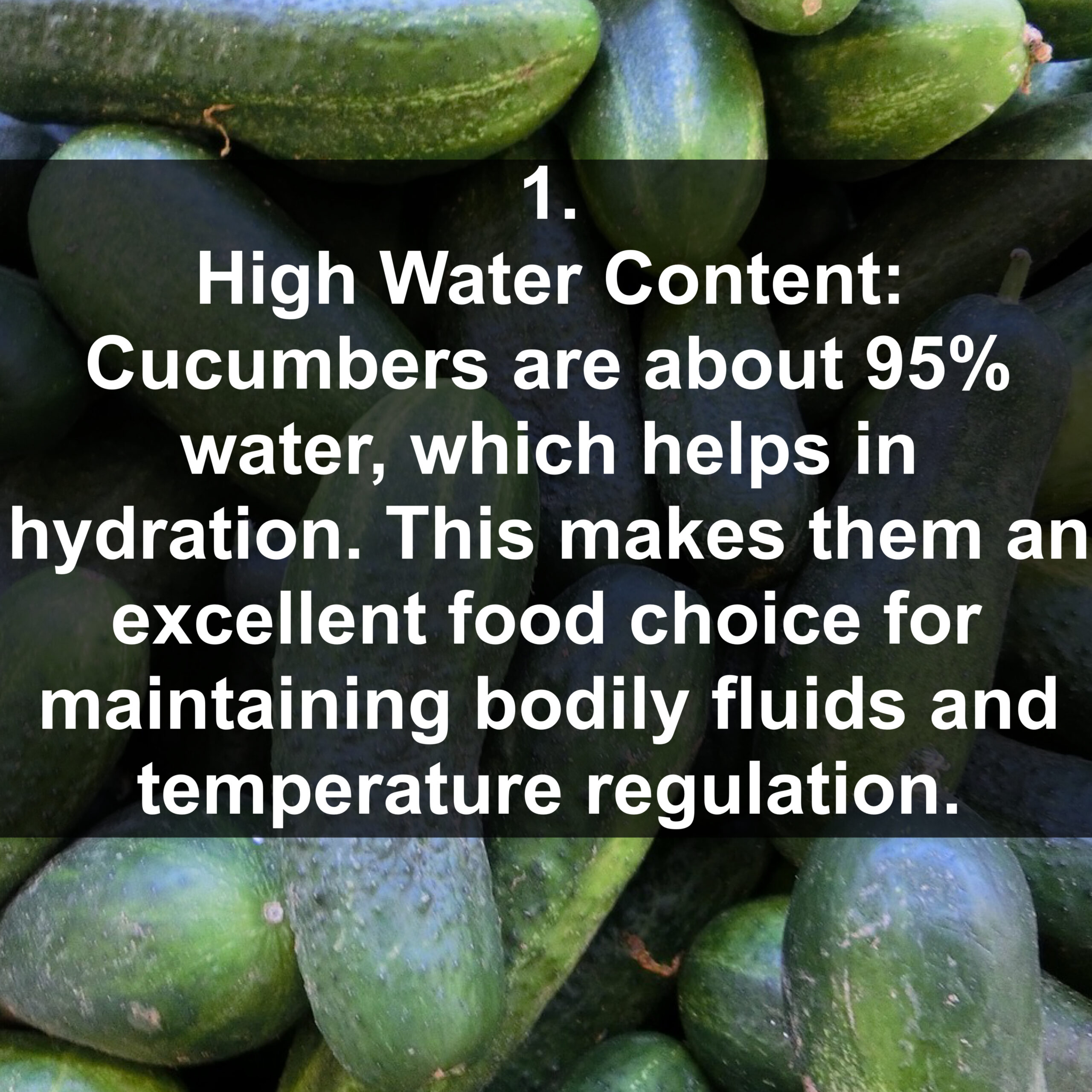 1. High Water Content: Cucumbers are about 95% water, which helps in hydration. This makes them an excellent food choice for maintaining bodily fluids and temperature regulation.