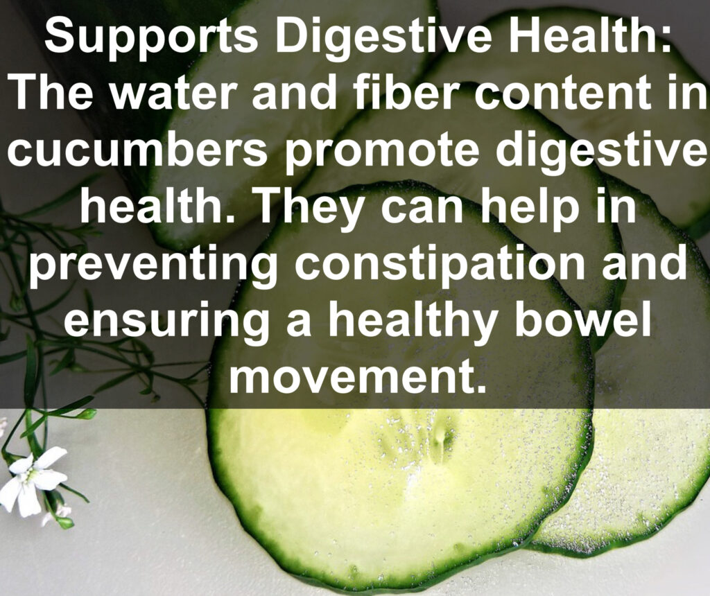 5. Supports Digestive Health: The water and fiber content in cucumbers promote digestive health. They can help in preventing constipation and ensuring a healthy bowel movement.