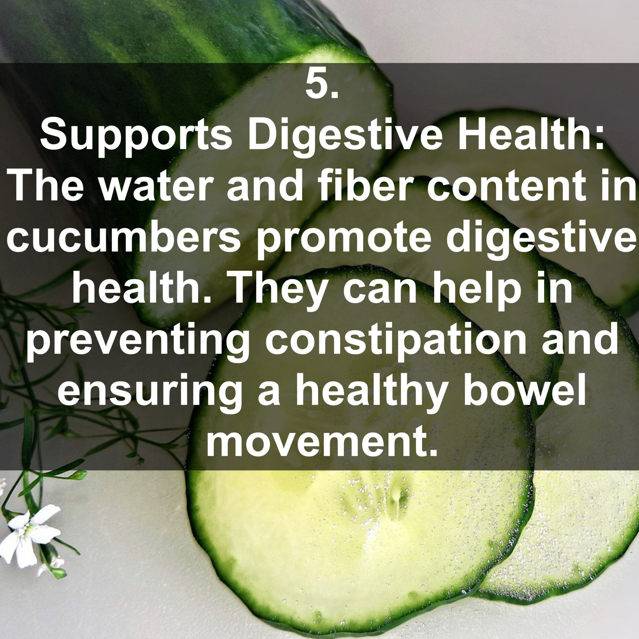 5. Supports Digestive Health: The water and fiber content in cucumbers promote digestive health. They can help in preventing constipation and ensuring a healthy bowel movement.