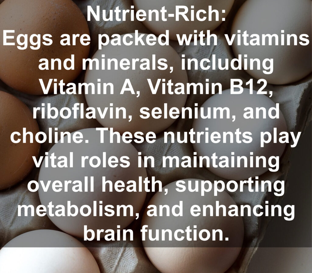 2. Nutrient-Rich: Eggs are packed with vitamins and minerals, including Vitamin A, Vitamin B12, riboflavin, selenium, and choline. These nutrients play vital roles in maintaining overall health, supporting metabolism, and enhancing brain function.