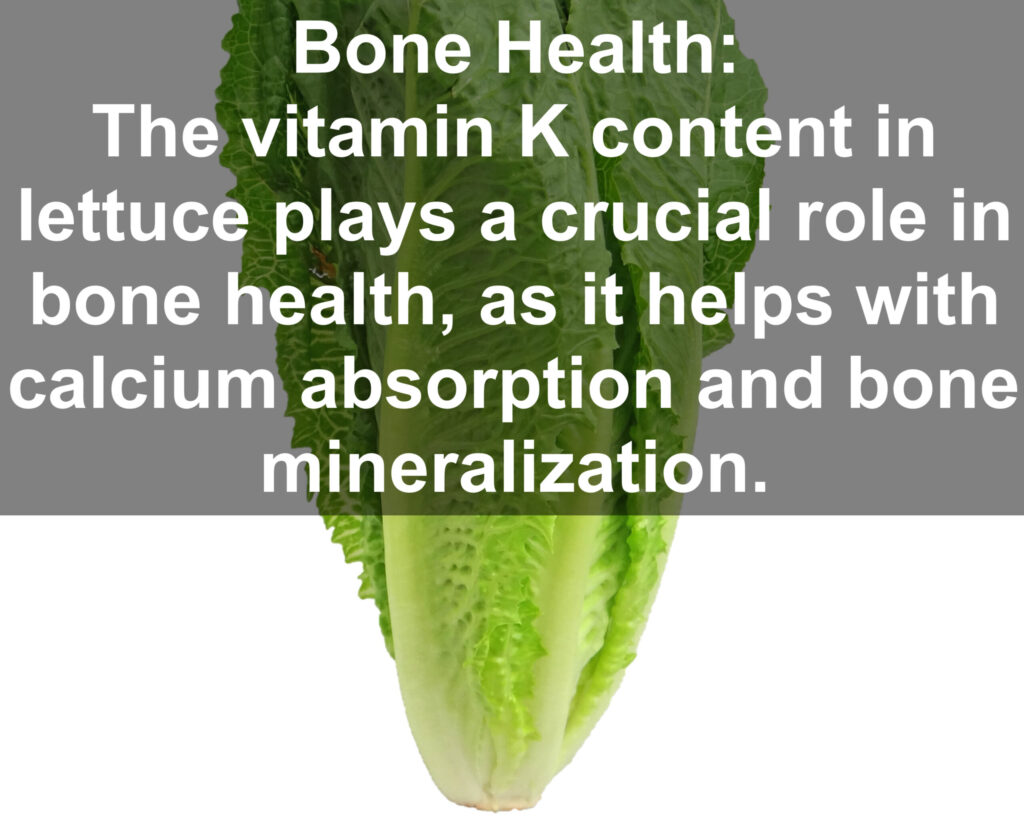 8. Bone Health: The vitamin K content in lettuce plays a crucial role in bone health, as it helps with calcium absorption and bone mineralization.