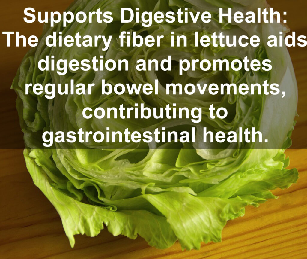 5. Supports Digestive Health: The dietary fiber in lettuce aids digestion and promotes regular bowel movements, contributing to gastrointestinal health.