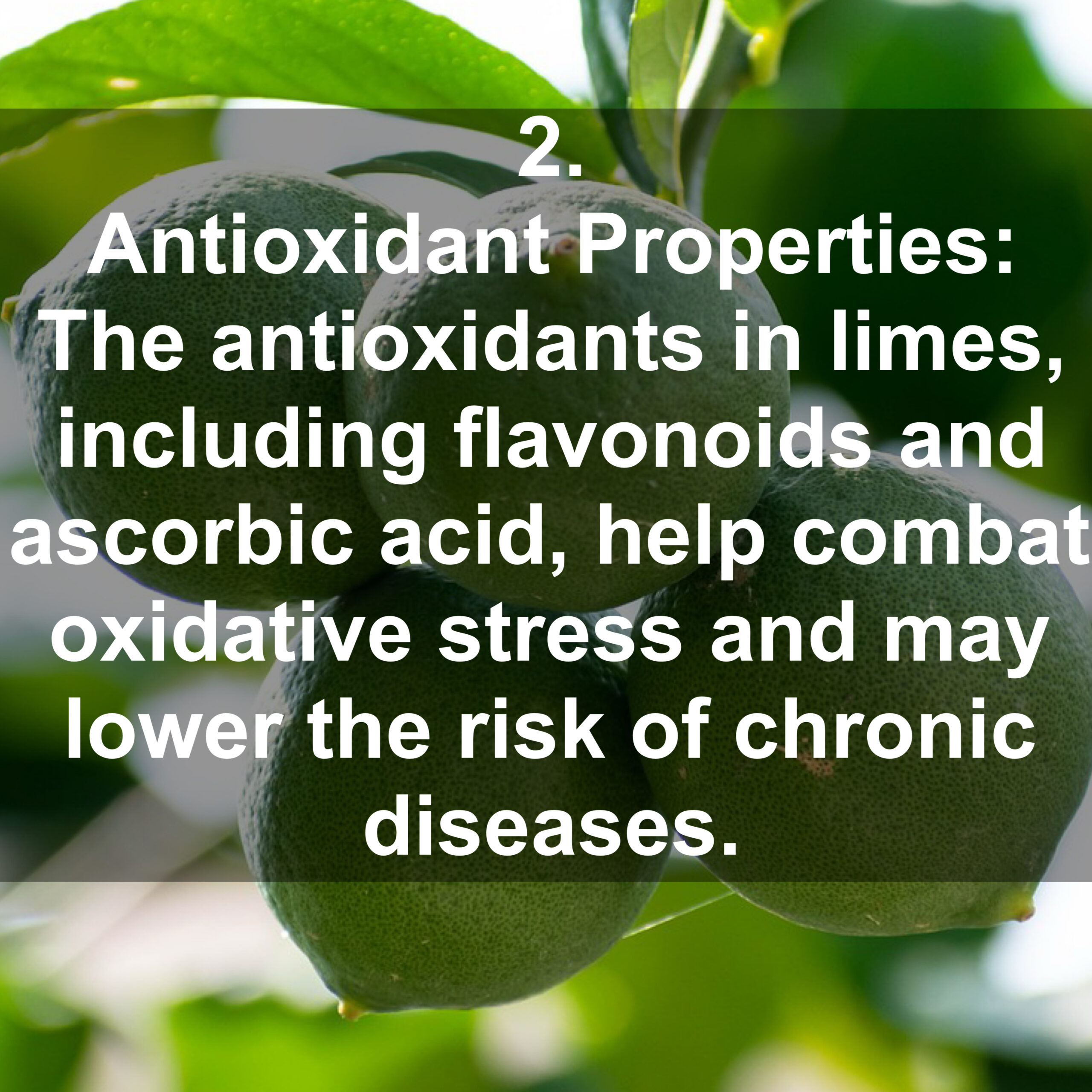 2. Antioxidant Properties: The antioxidants in limes, including flavonoids and ascorbic acid, help combat oxidative stress and may lower the risk of chronic diseases.