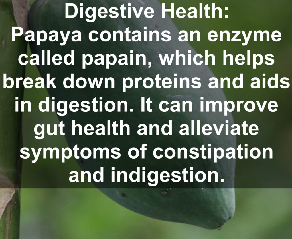2. Digestive Health: Papaya contains an enzyme called papain, which helps break down proteins and aids in digestion. It can improve gut health and alleviate symptoms of constipation and indigestion.