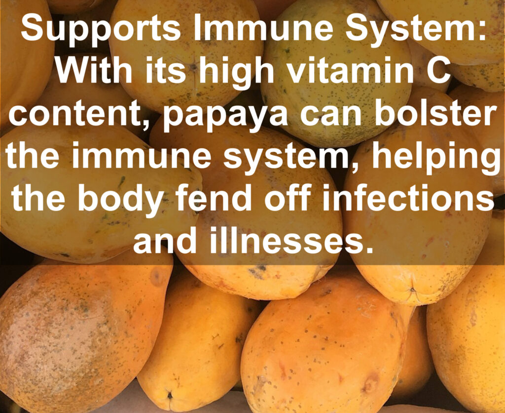 4. Supports Immune System: With its high vitamin C content, papaya can bolster the immune system, helping the body fend off infections and illnesses.