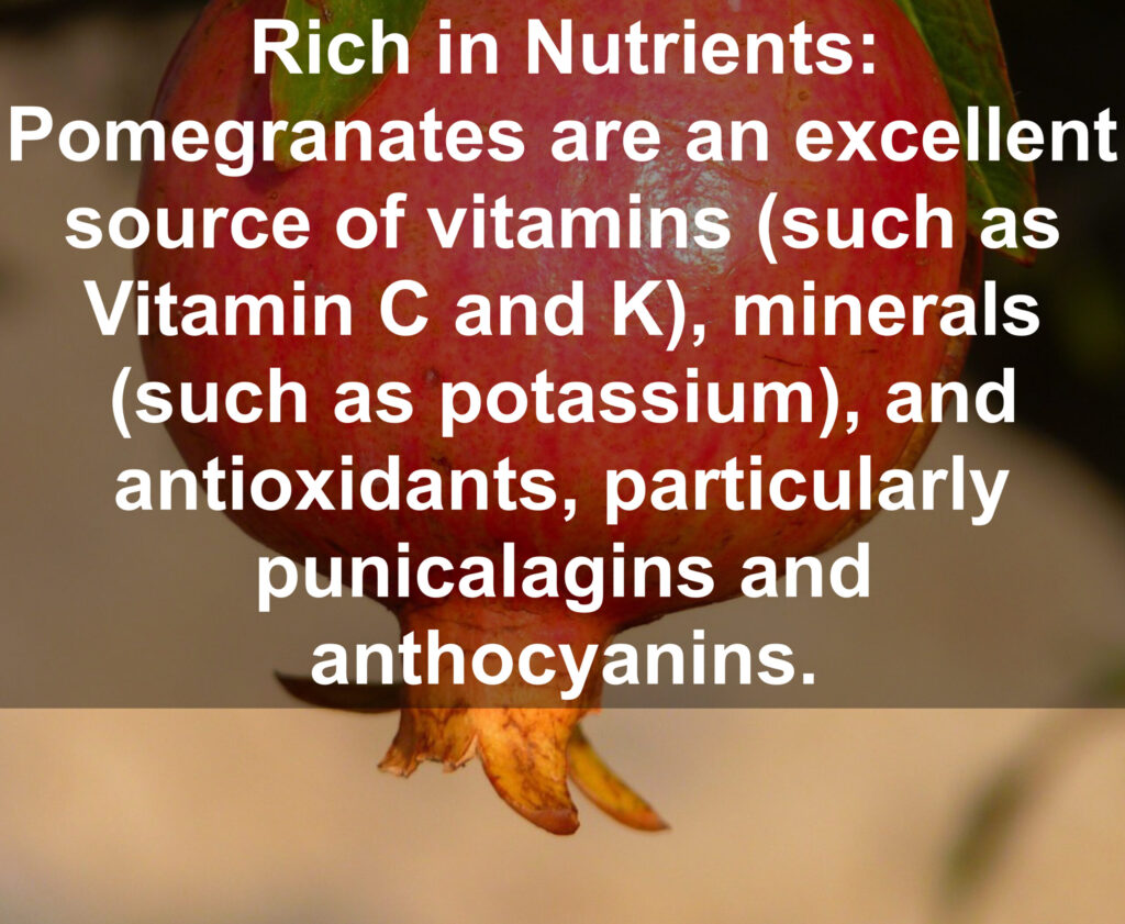 1. Rich in Nutrients: Pomegranates are an excellent source of vitamins (such as Vitamin C and K), minerals (such as potassium), and antioxidants, particularly punicalagins and anthocyanins.