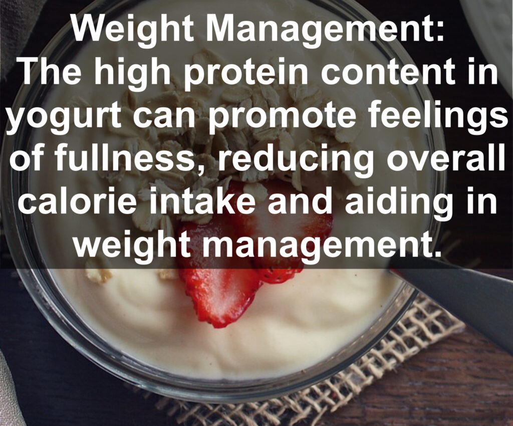 4. Weight Management: The high protein content in yogurt can promote feelings of fullness, reducing overall calorie intake and aiding in weight management.