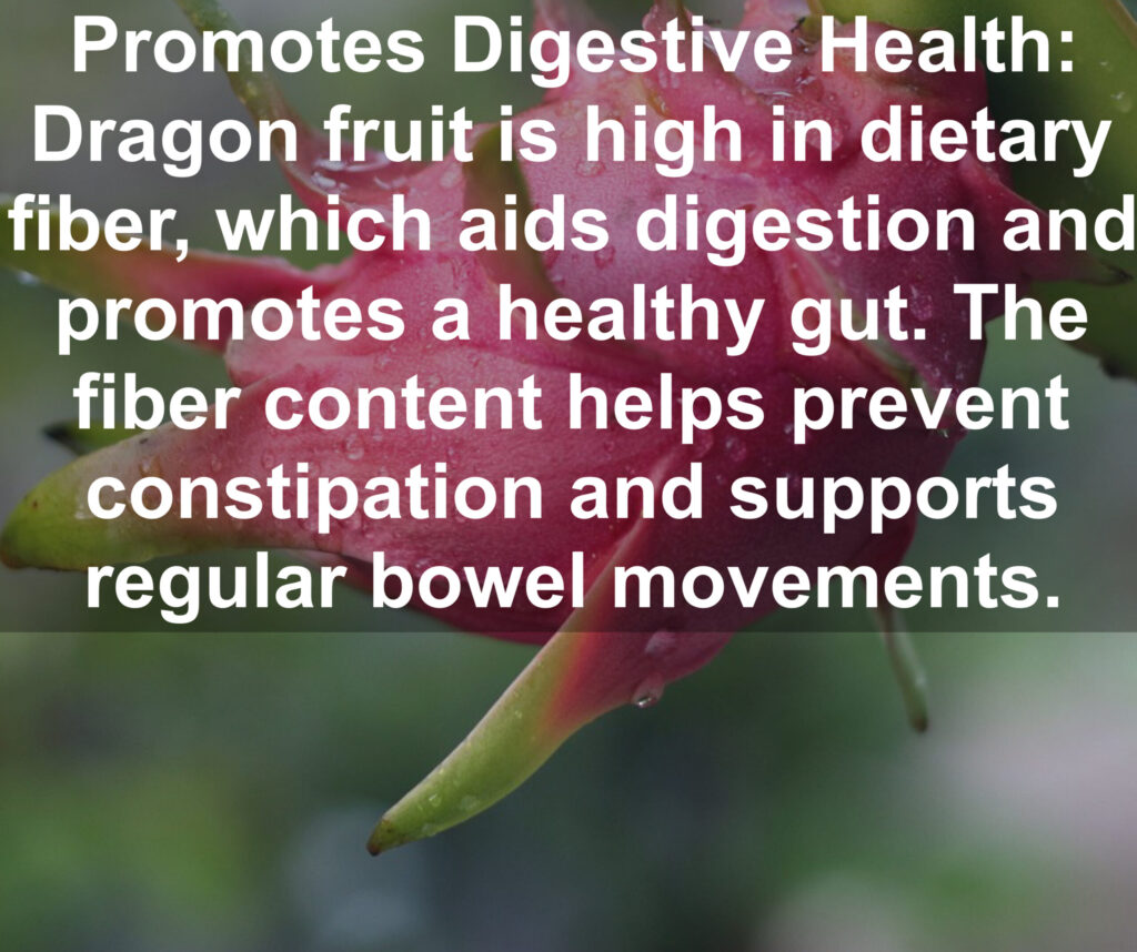 3. Promotes Digestive Health: Dragon fruit is high in dietary fiber, which aids digestion and promotes a healthy gut. The fiber content helps prevent constipation and supports regular bowel movements.