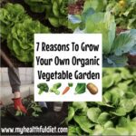 7 Reasons To Grow Your Own Organic Vegetable Garden