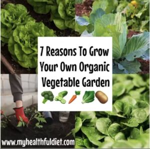 7 Reasons To Grow Your Own Organic Vegetable Garden