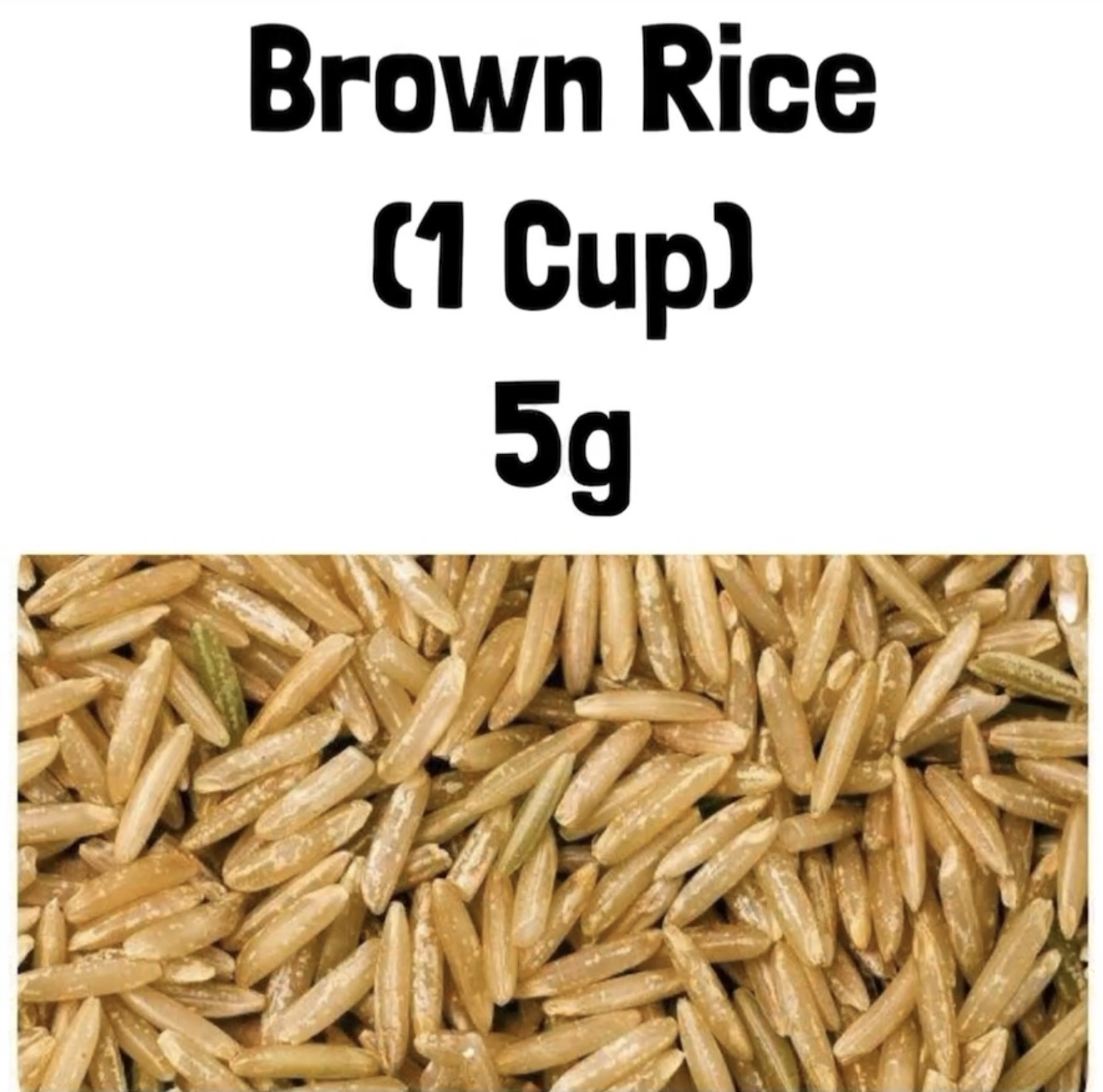 Brown Rice (1 Cup)5g
