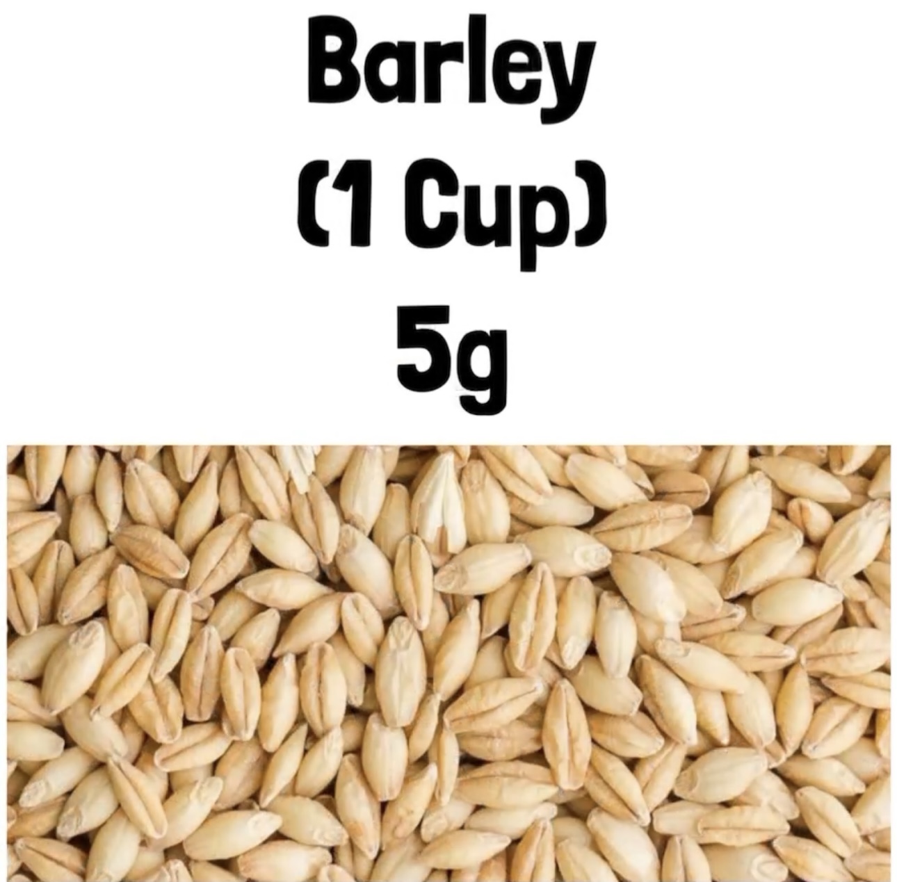 Barley (1 Cup) 5g