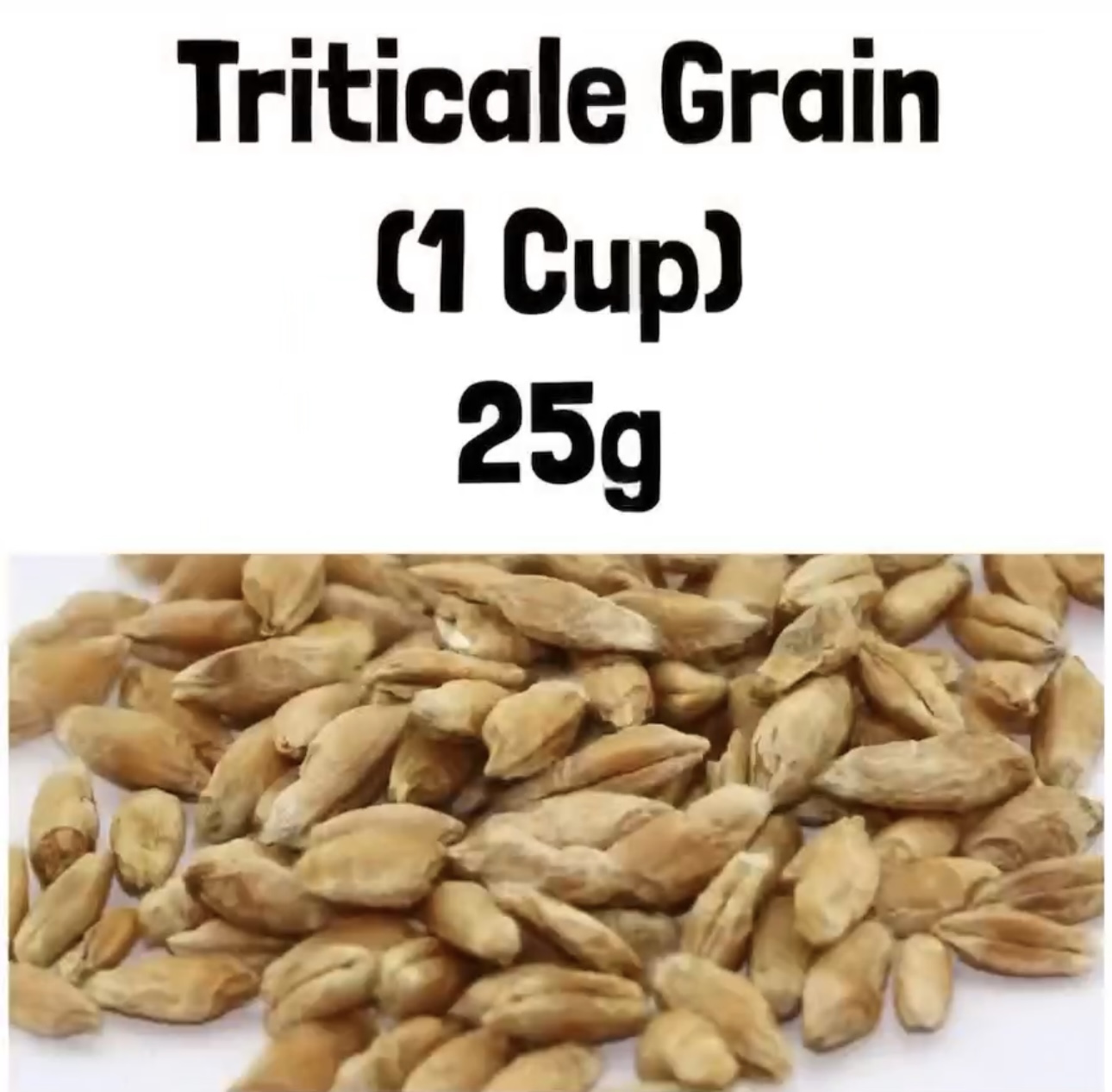 Triticale Grain (1 Cup) 25g