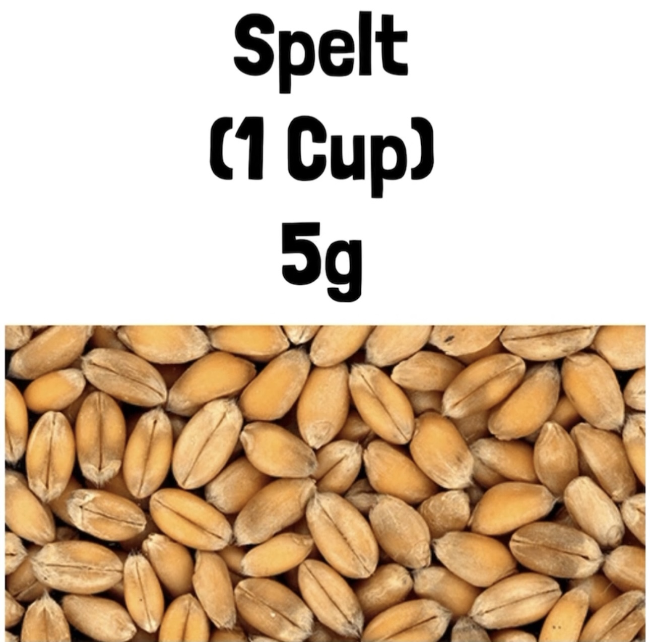Spelt (1 Cup) 5g