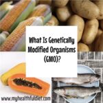 What Is Genetically Modified Organisms (GMO)?